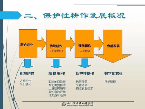 黨建引領謀發展 科技助農備春耕——保護性耕作技術推廣網絡課堂
